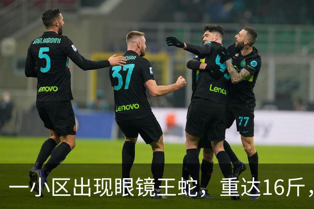 一小区出现眼镜王蛇，重达16斤，就在居民窗外游走，消防：是世界上体型最大的前沟牙毒蛇