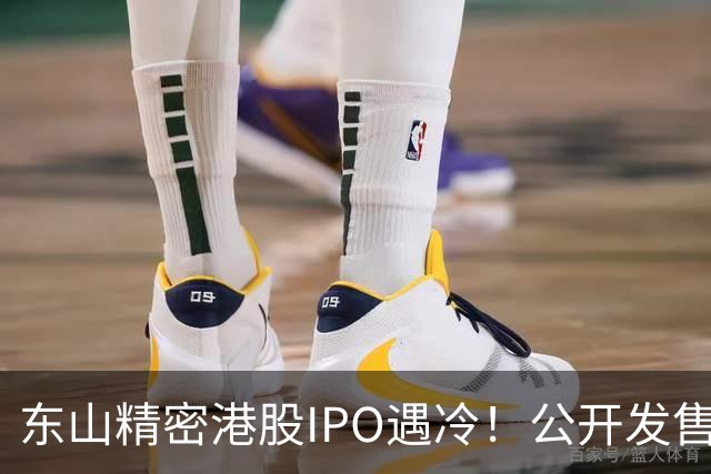 东山精密港股IPO遇冷！公开发售不足一倍，散户100%中签，前日暗盘收跌7.43%