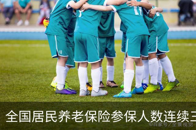 全国居民养老保险参保人数连续三年减少