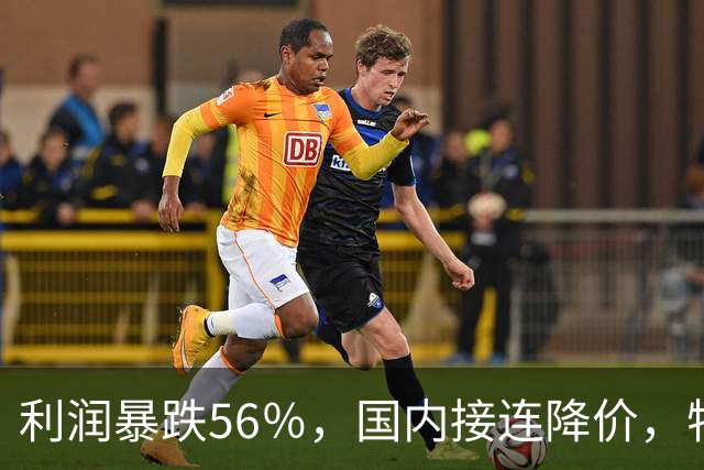 利润暴跌56％，国内接连降价，特斯拉的中国智驾何时兑现？