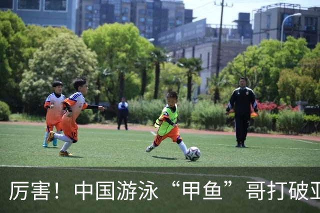 厉害！中国游泳“甲鱼”哥打破亚洲纪录、世界纪录，或将再战奥运