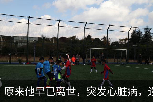 原来他早已离世，突发心脏病，遗孀露面痛哭，无儿无女独自生活