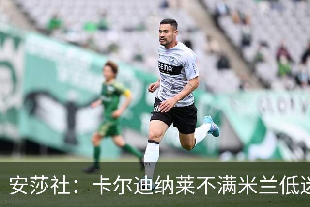 安莎社：卡尔迪纳莱不满米兰低迷，阿莫林被要求止跌