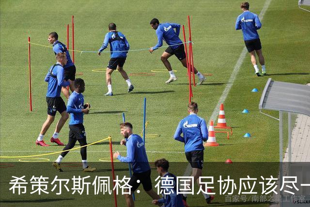 希策尔斯佩格：德国足协应该尽一切努力，让特雷索尔迪选德国