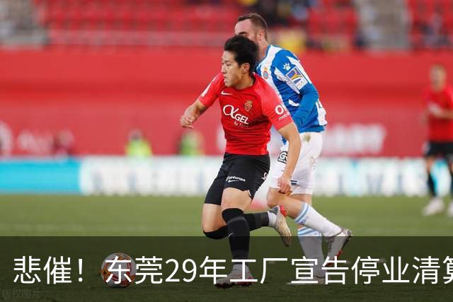 悲催！东莞29年工厂宣告停业清算，老板拟变卖厂房地皮优先发放员工工资，公告一出引发全网热议