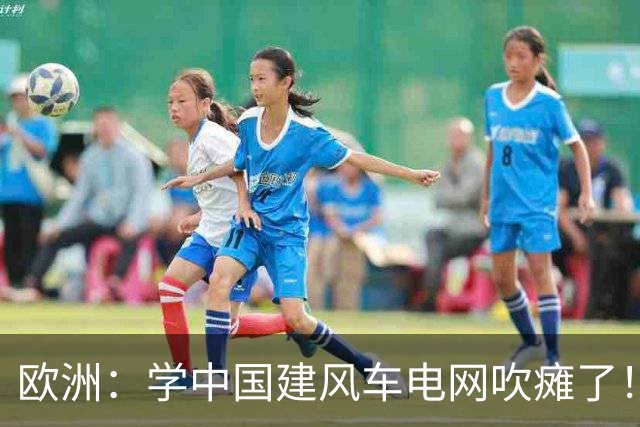 欧洲：学中国建风车电网吹瘫了！中国：忘说了，我在山里放了刹车