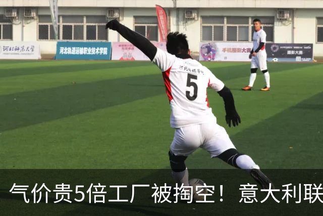 气价贵5倍工厂被掏空！意大利联手多国发难：向冯德莱恩正式夺权