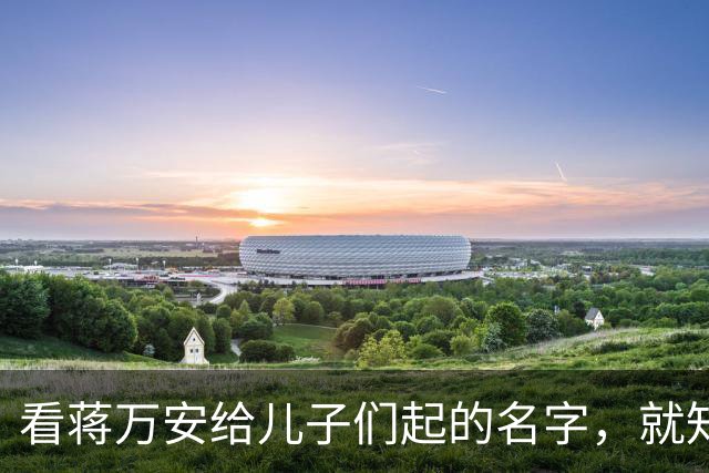 看蒋万安给儿子们起的名字，就知道他骨子里的中国人身份，藏不住
