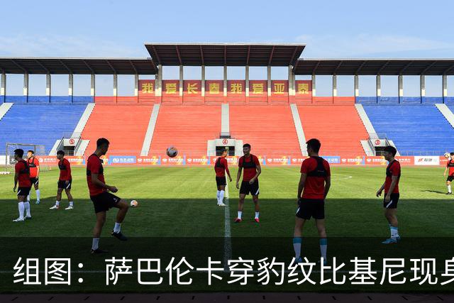 组图：萨巴伦卡穿豹纹比基尼现身海边 展示曼妙曲线