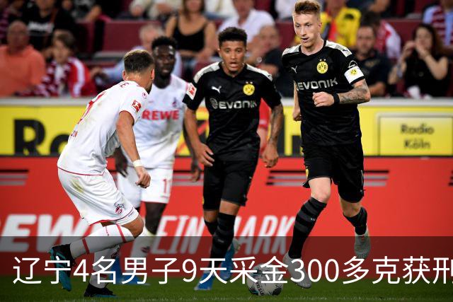 辽宁4名男子9天采金300多克获刑，村里砂土为何能淘金？土法筛金对人体和环境有何危害？