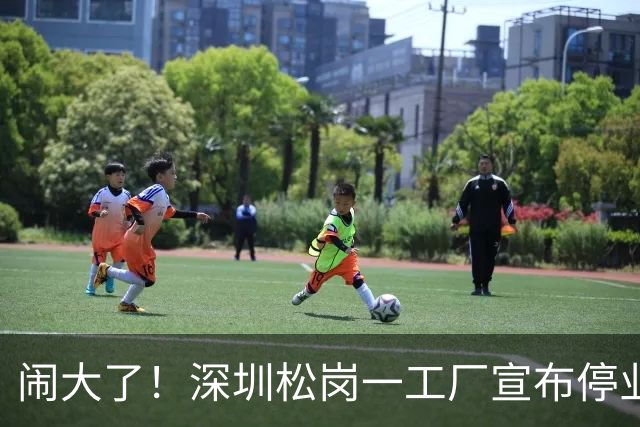 闹大了！深圳松岗一工厂宣布停业后负责人失联，欠薪112万余元、拖欠租金71万余元，当地发布公告传唤调查