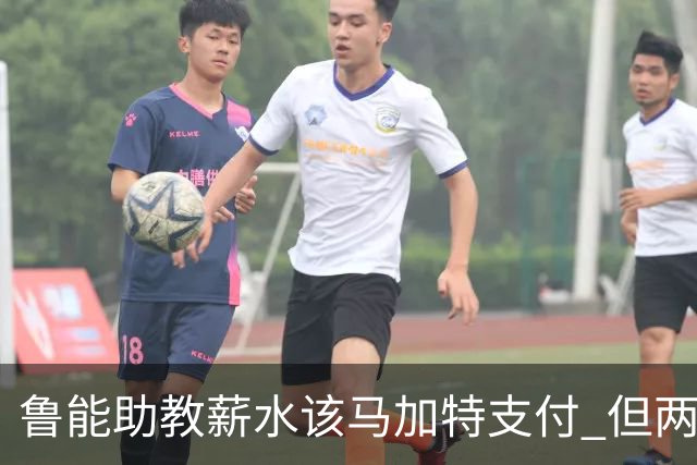 鲁能助教薪水该马加特支付 但两人闹掰后没拿着钱