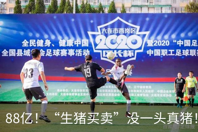 88亿！“生猪买卖”没一头真猪！空手套白狼，国企巨款全被挪走？